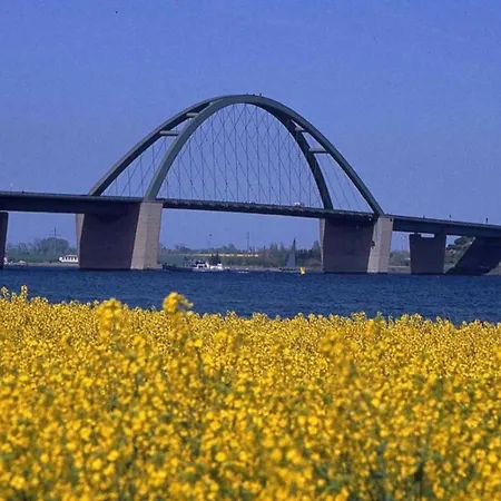 Meerblick 10 - 公寓 *